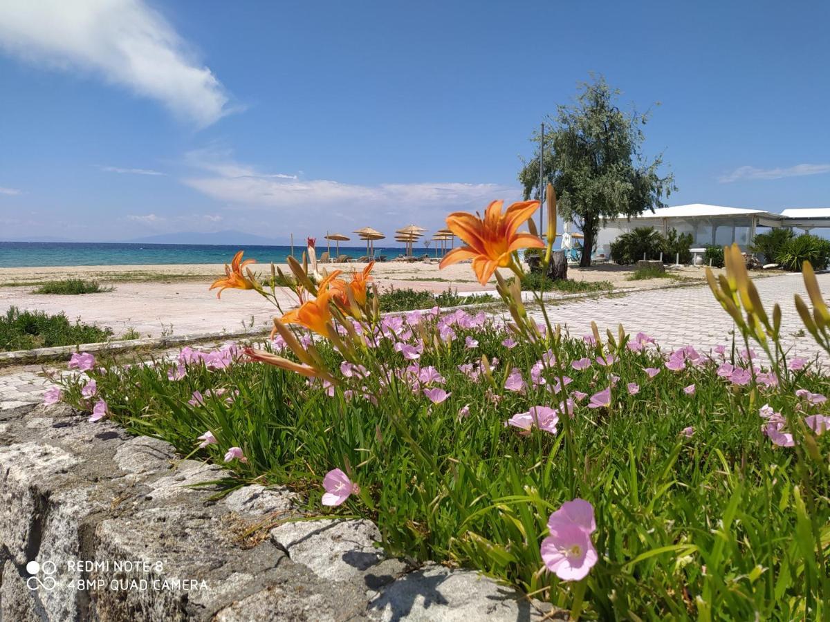 Hause Zorbas Aparthotel Paralia Dionysiou Exterior photo