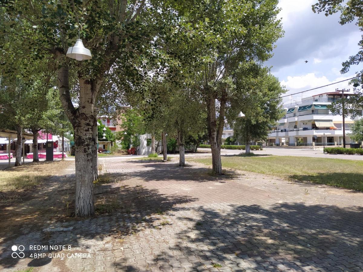 Hause Zorbas Aparthotel Paralia Dionysiou Exterior photo